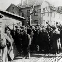 Auschwitz liberation 1945 wikimedia commons